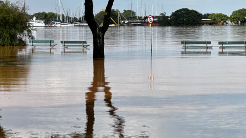 Ajuda Cléo a superar os danos pós  enchente