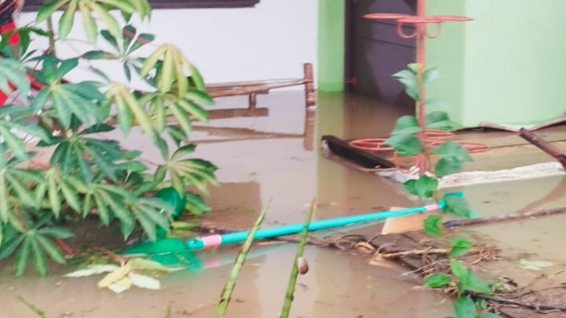 ANA GASPAROTTO - AJUDA PARA RECOMEÇAR! (ENCHENTE MAIO 2024 RS)