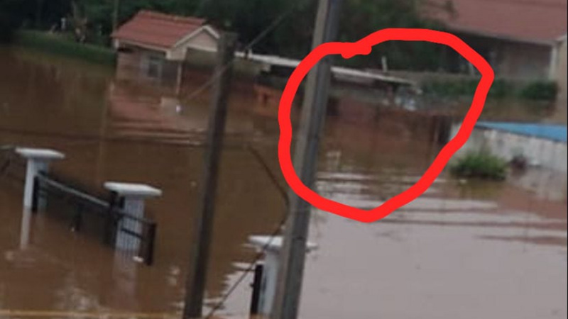 Ajuda Família Machado