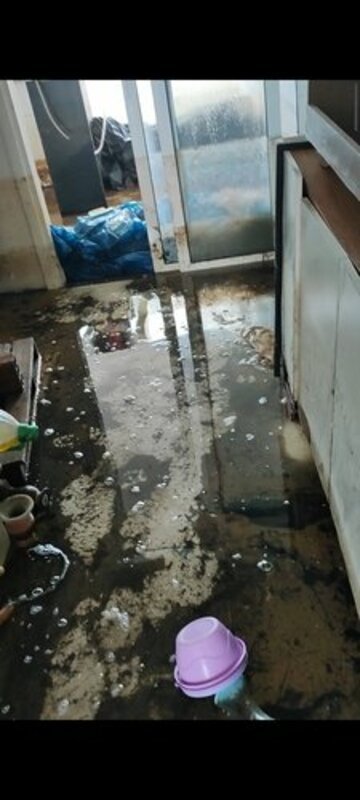 Ajude os Rafas enchente 2024 rio grande do sul