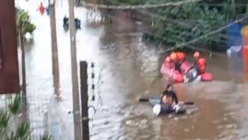 Tios e Tias Cardozo e Bandarra   e  Sra.Ivani Machado
