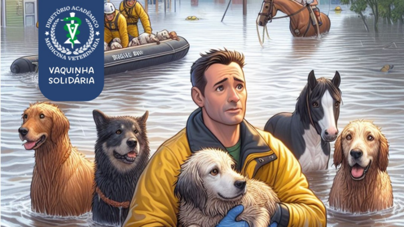 Patinhas Seguras: ajude os animais das enchentes do RS