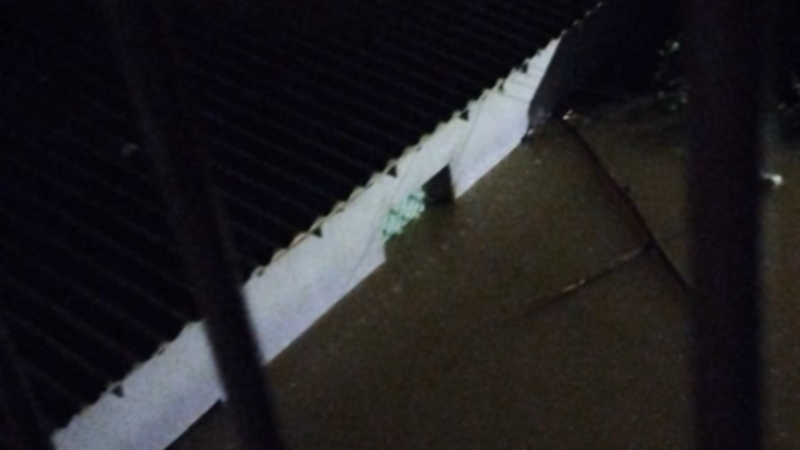 Ajudar a recuperar oque foi perdido na enchente 