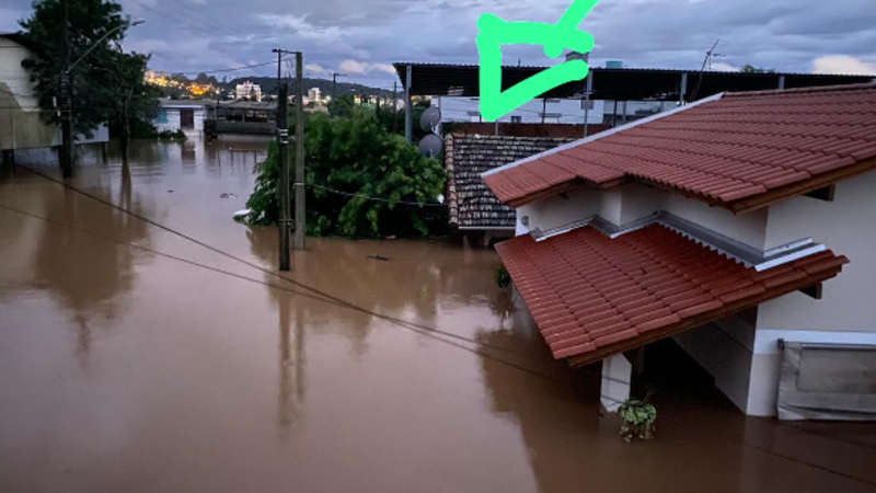 Ajuda para Reconstruir as famílias da Scharlau