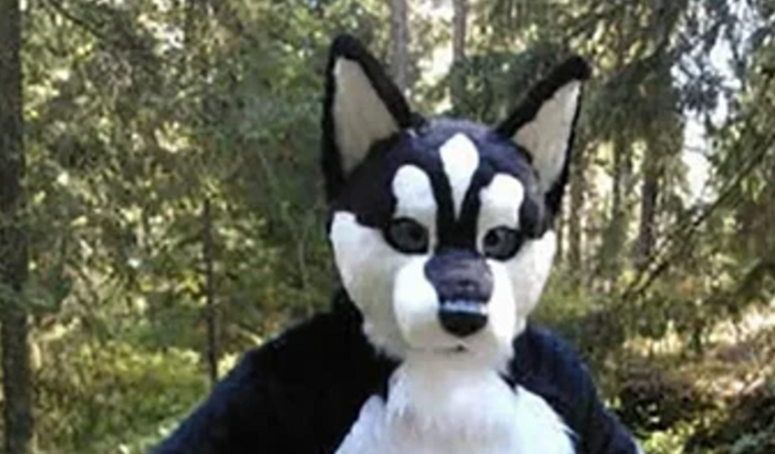 Fantasia furry pro fabia 