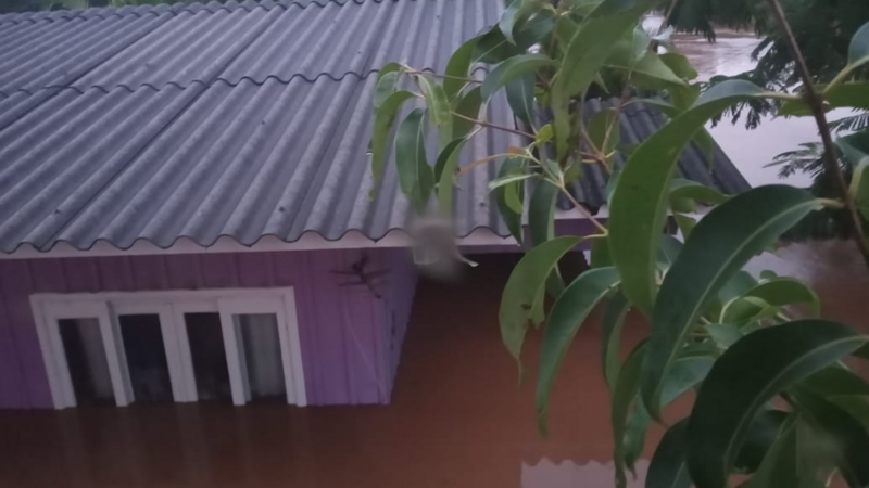 Ajuda Cinara DL/CMPA 