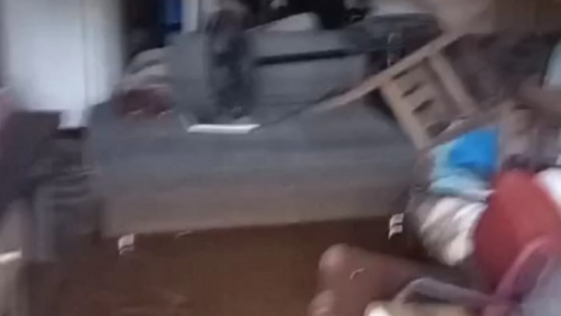 Ajuda a Familia Rodrigues na luta contra a enchente