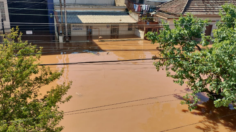 Ajude a Dom Quixote - Porto Alegre