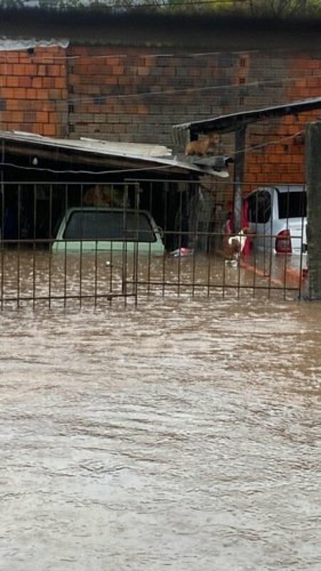 AJUDA PARA RECOMEÇAR 🏠 