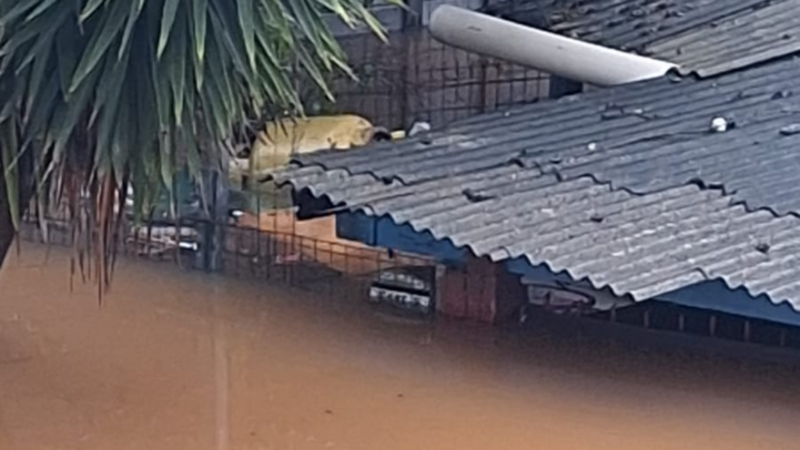 Ajuda para minha família que perdeu tudo na enchente do RS