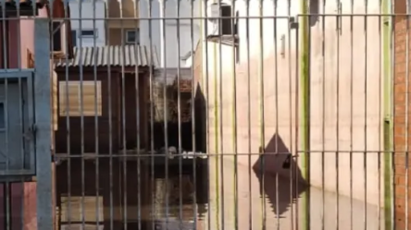 SOS  Reconstrução  - Enchente RS