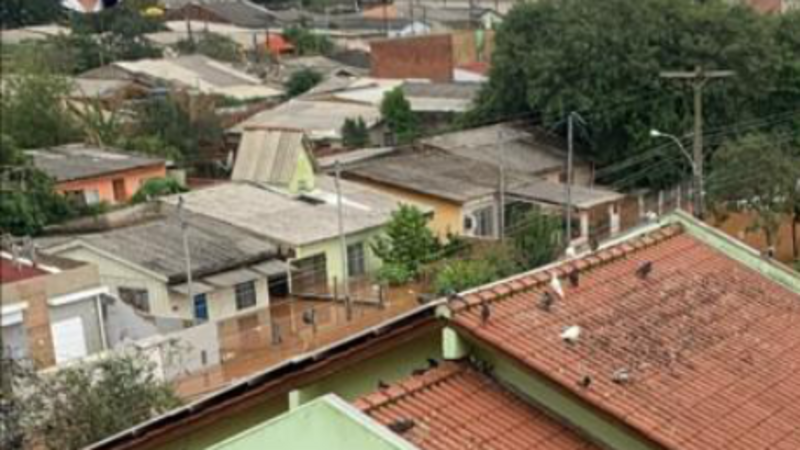 Recomeço pós enchente 