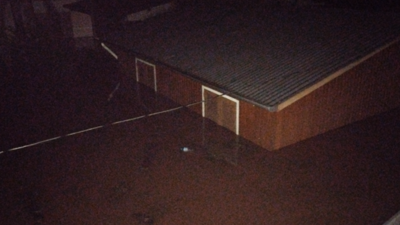 SOS- AJUDE UMA  GAÚCHA SEM CASA