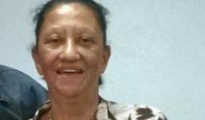 Ajude a Dona Rosa a reconstruir sua casa