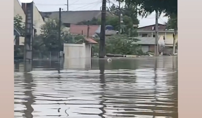 Solidariedaderiograndedosul