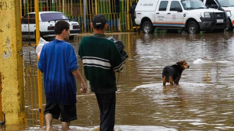 Ajuda para as pessoas que perderam tudo nas chuvas do RS!