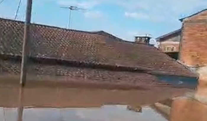 Se a dor do outro não doer em mim... Eu desconheço o amor! Rio Grande do Sul