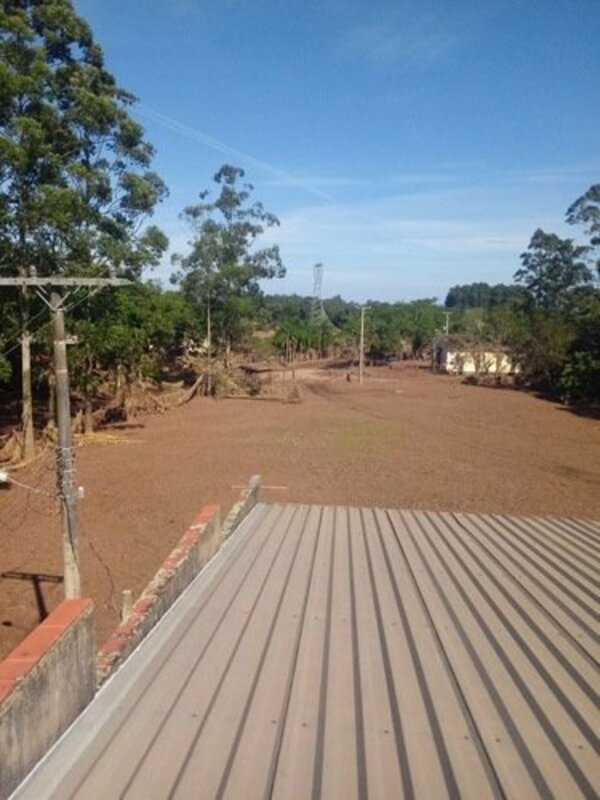 Ajude minha tia Elvira a recomeçar.