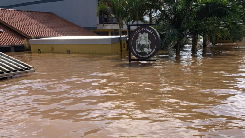Ajuda para reconstruir o CãoTainer RS