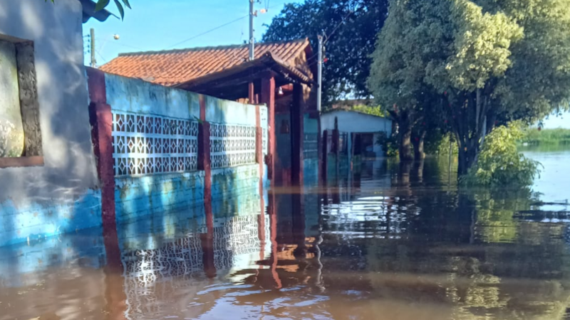 Uma mão amiga para o Sr Nelson