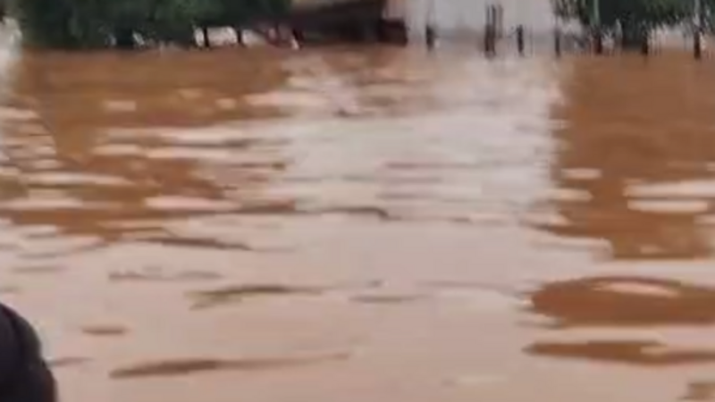 Ajude a Amanda a recomeçar 