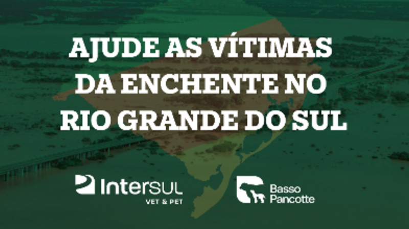 SOS Rio Grande do Sul - Grupo Basso Pancotte e Intersul