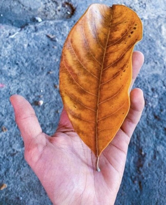 ENSAIO FOTÓGRAFICO SOLIDÁRIO 