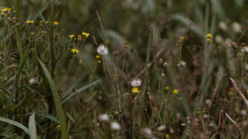 Ensaio fotográfico solidário