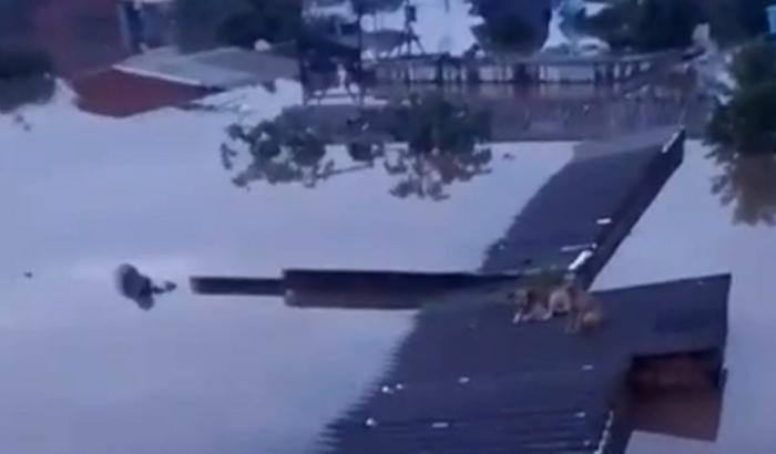 Recomeçar a vida da minha família (Enchente RS)