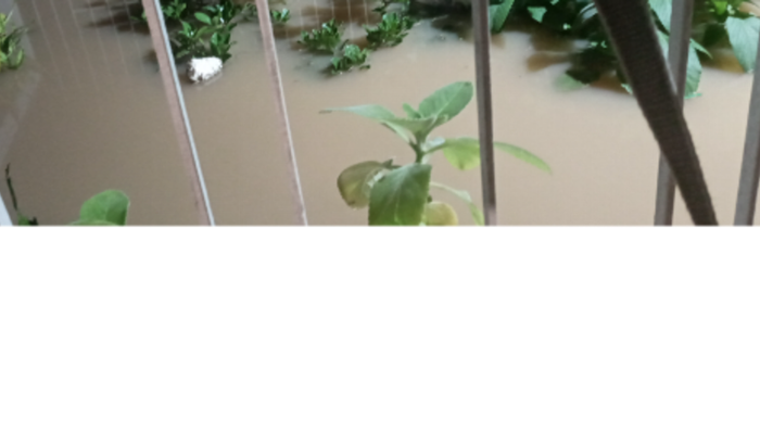 Devido a tragédia em Porto alegre perdi tudo dentro de casa móveis comida tudo