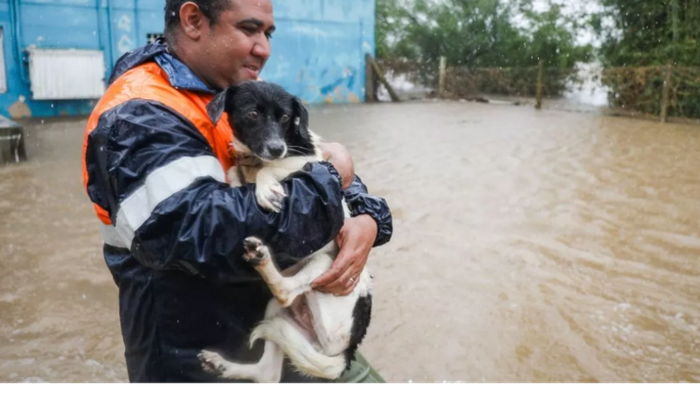 AJUDA PETS RIO GRANDE DO SUL