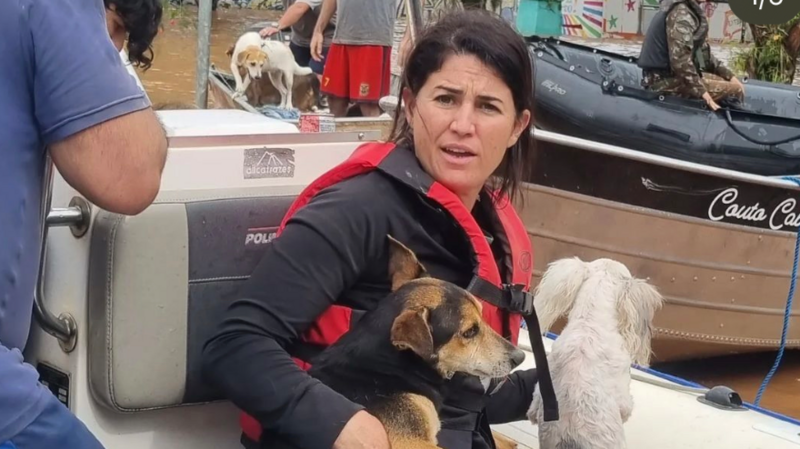Animais resgatados enchente! Protetora Deise Falci 