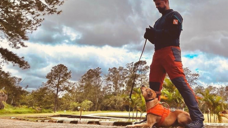 Ajuda para condutor e cão na busca e resgate no RS.