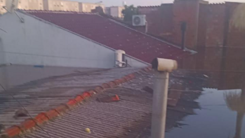 Ajude a familia de Leticia