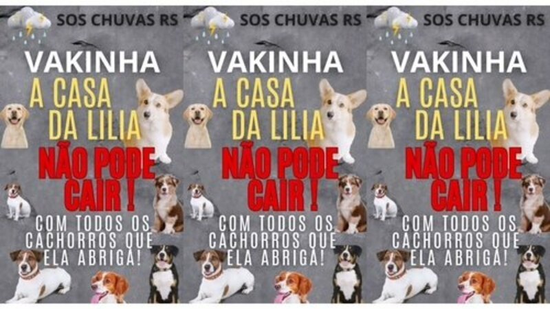 SOS RS: Casa da Lilia prestes a cair, cães dependem dela.