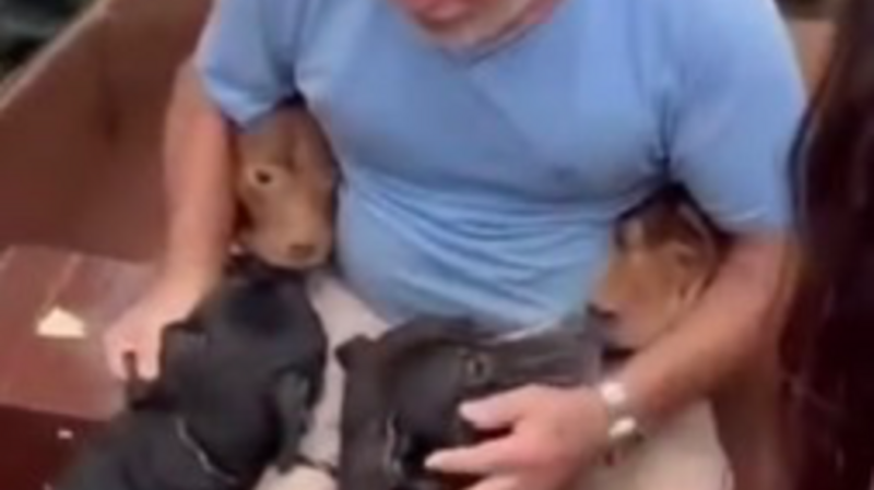 SOS - Me ajude a reconstruir minha casa