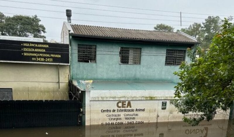 Ajude a ONG Onda Animal em Cachoeirinha 