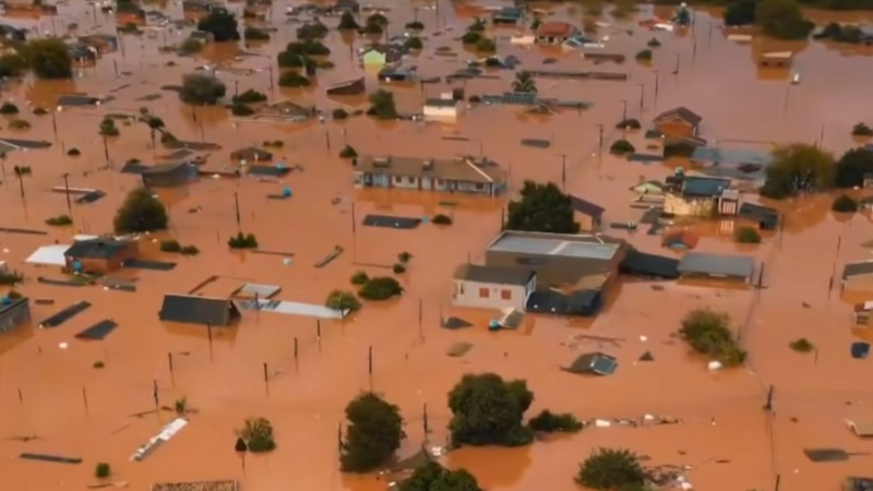 Ajude Elsa e sua família! 