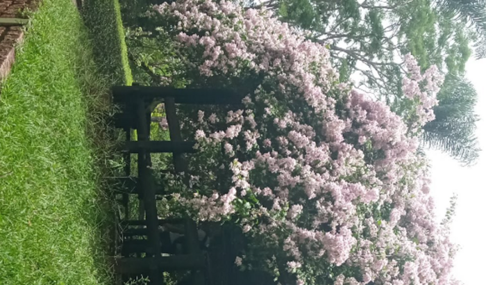 BioBlend | Sacolas Biodegradáveis 