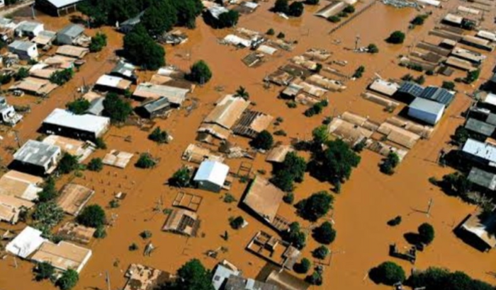 Ação solidaria