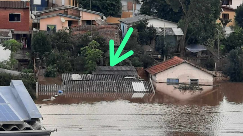 Uma mão amiga para Rosi 🏠