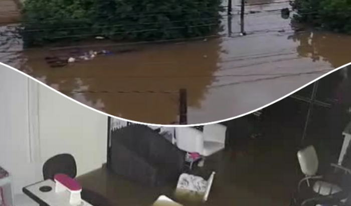 Ajude a recuperar o sustento de Zanza (vítima das enchentes) ❤️