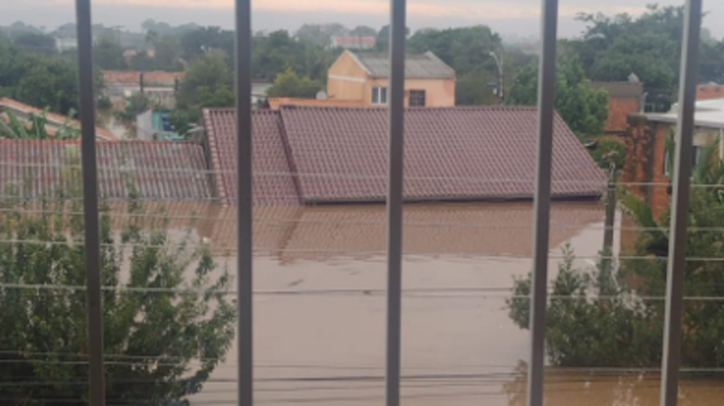 Ajudar minha família a reconstruir suas casas. 