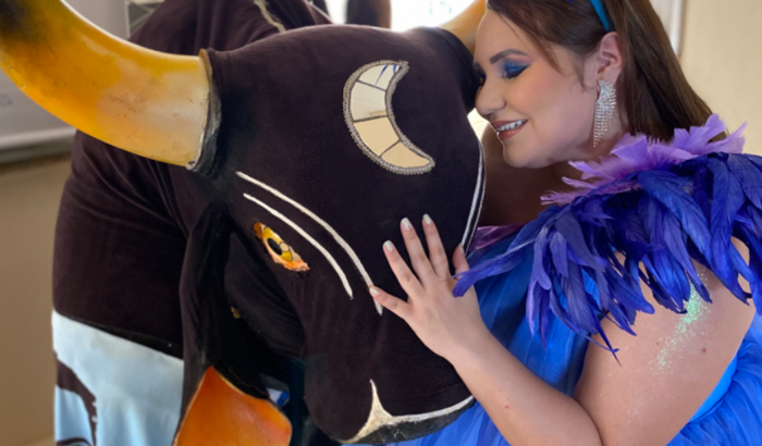 Ajude a reformar o Boi Malhadinho 