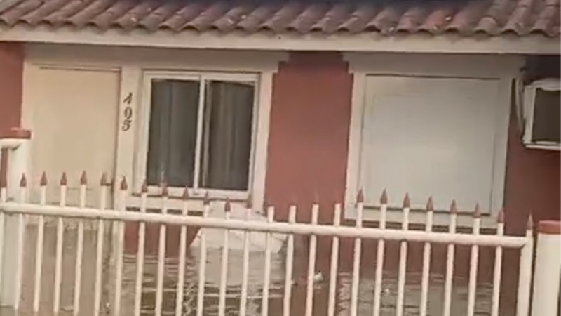 Ajuda para recomeçar 