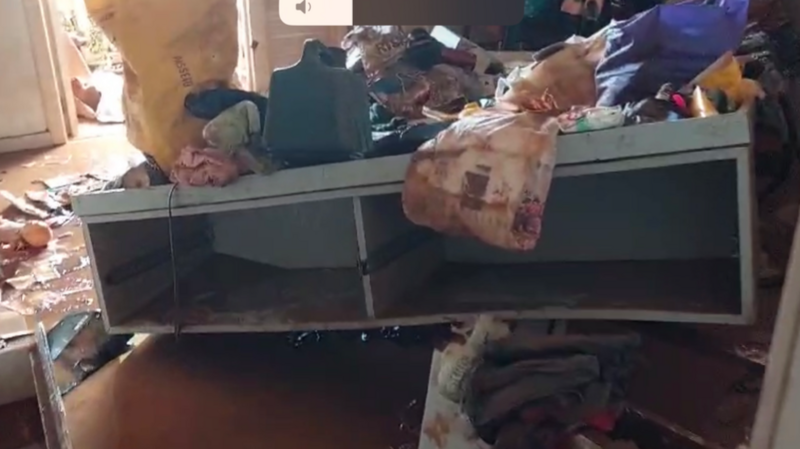 Ajuda para família Hallmann