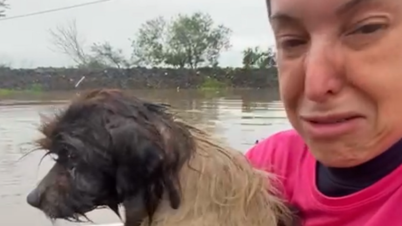AJUDE-ME A RECOMEÇAR A VIDA APÓS PERDER TUDO NA ENCHENTE.