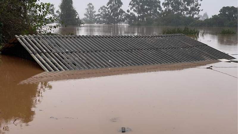 Móveis, paredes e roupas