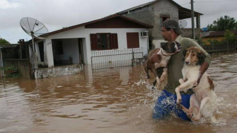 Missão de Resgate de Animais no Rio Grande do Sul 