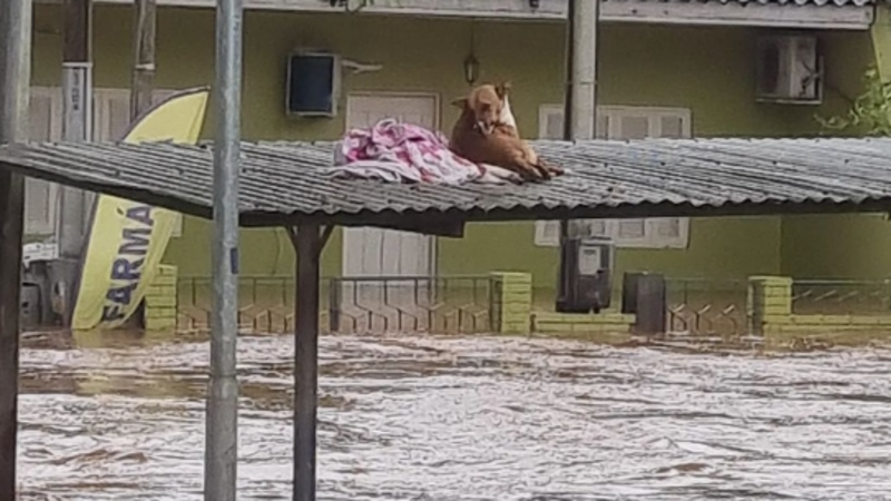 Amigos da Vila ajudando o RS